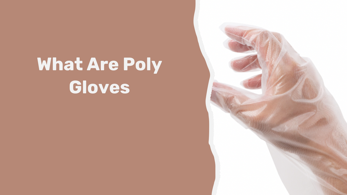 Types of Disposable Gloves: What are Poly Gloves – BuyGloves.com